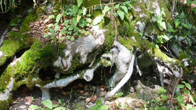 2013 08 17 EMBALSE DE RESPOMUSO (29)